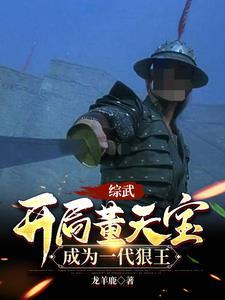 综武:开局董天宝,成为一代狠王 综武:开局董天宝,成为一代狠王