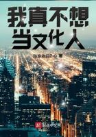 我真不想当文化人 我真不想当文化人