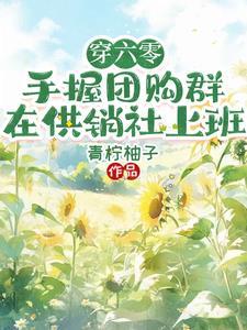 穿六零,手握团购群在供销社上班 穿六零,手握团购群在供销社上班